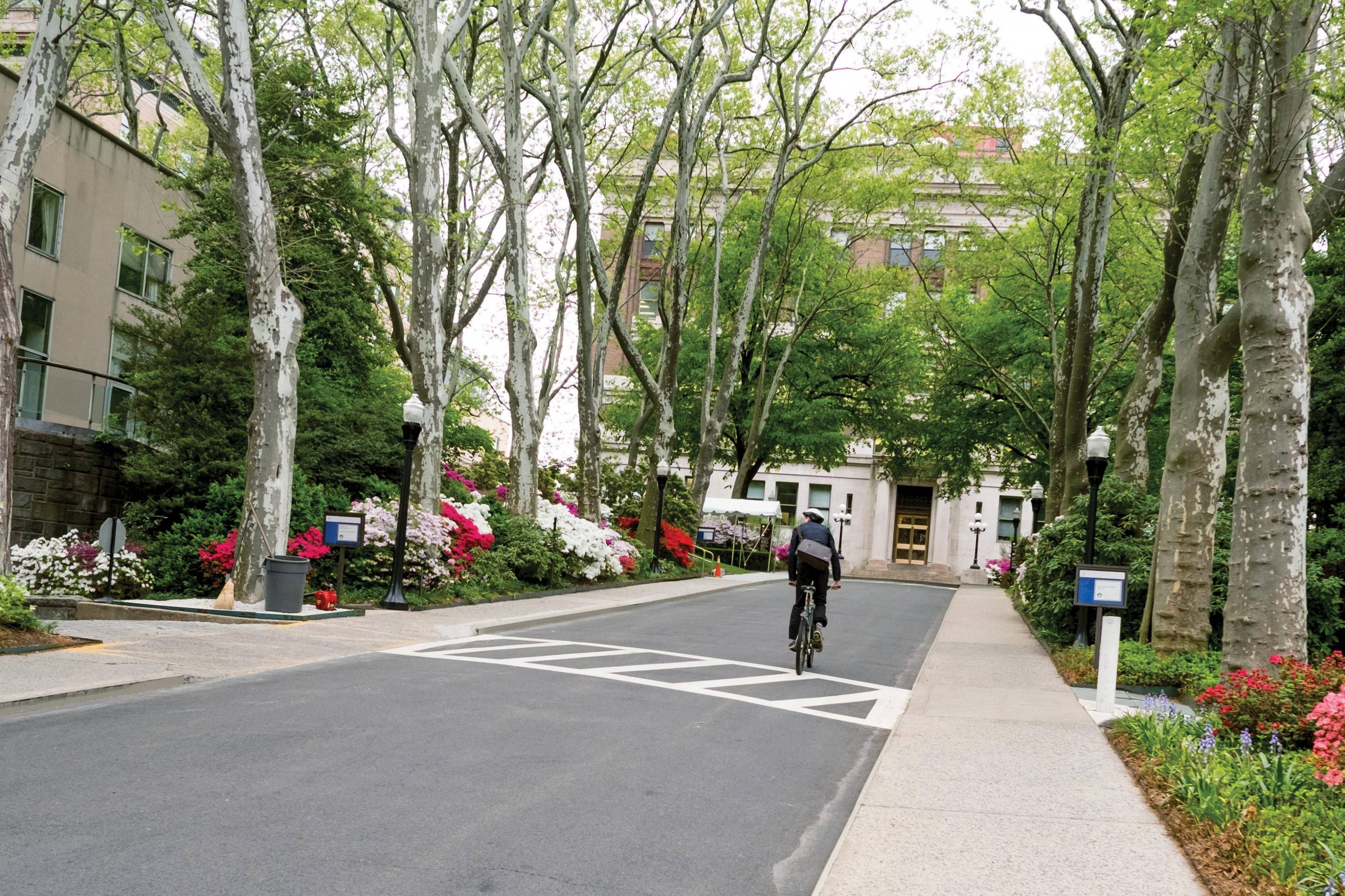 Biking on Rockefeller campus