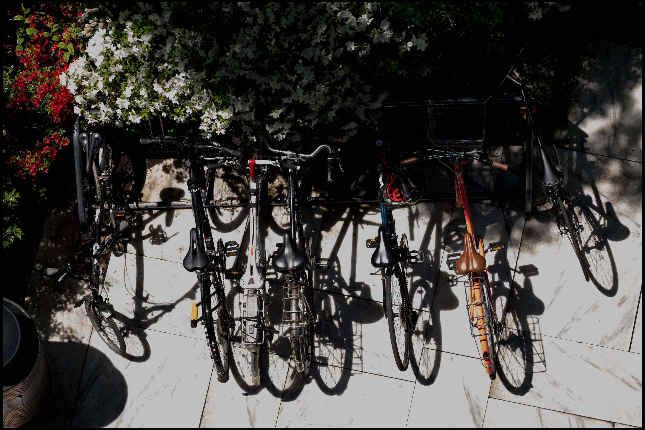 bird's eye image of bicycles parked on campus