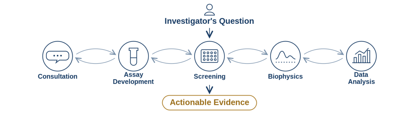 DDRC scientific capabilities transform investigators' questions into actionable evidence
