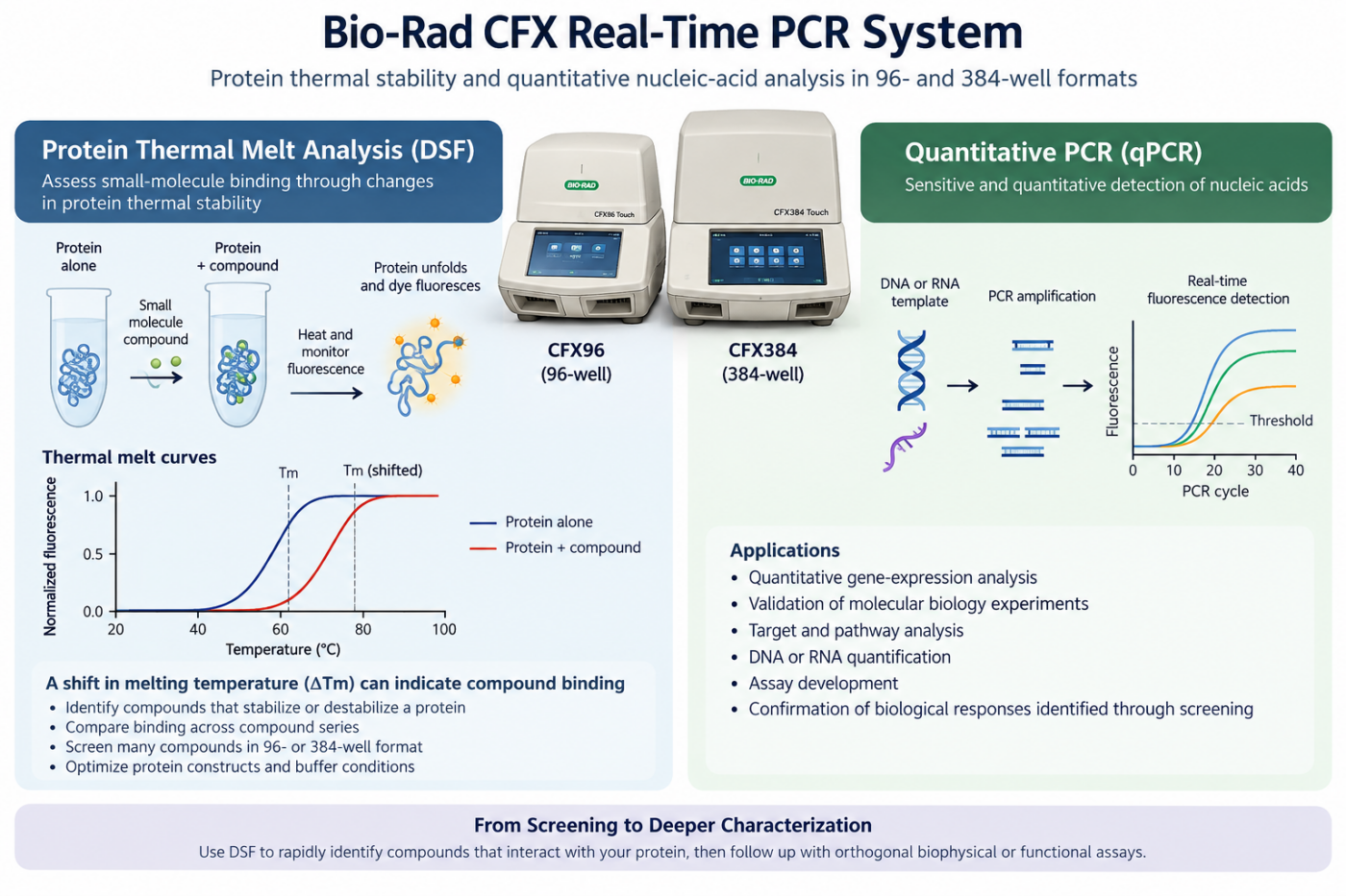 Protein thermal stability and quantitative PCR platform for investigating small-molecule binding, protein stability, and nucleic-acid amplification.