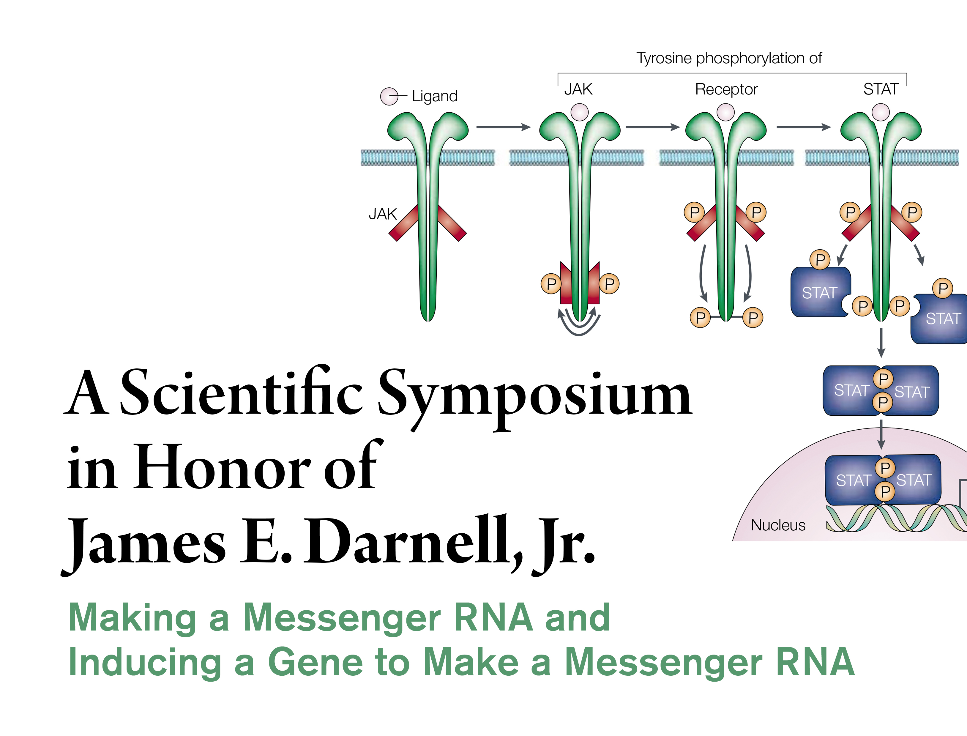 Darnell Symposium 2021