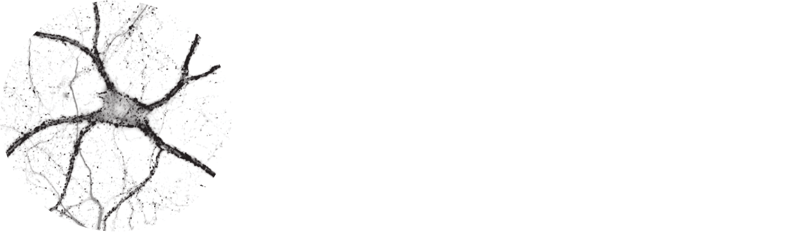 PEARL MEISTER GREENGARD PRIZE