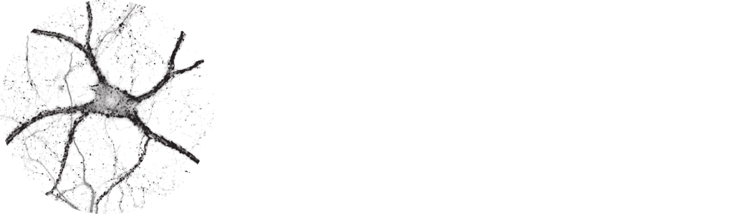 Pearl Meister Greengard logo
