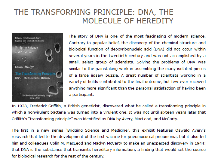 Transforming the Principle: