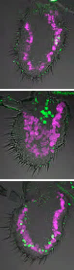 Uncharted territory.