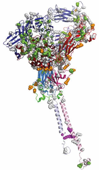 150413_coller_bloodclottingmutations