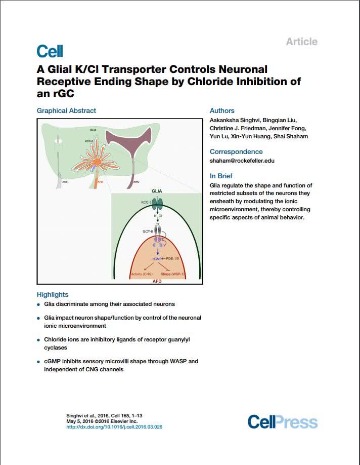 FuchsCellPaper_Resized