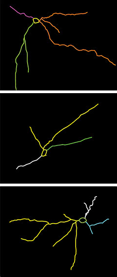 MeA-tracing