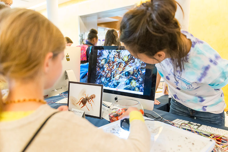 The MiScope, a handheld digital microscope, magnifies live images and captures movies and stills. It’s perfect for observing ant colonies.