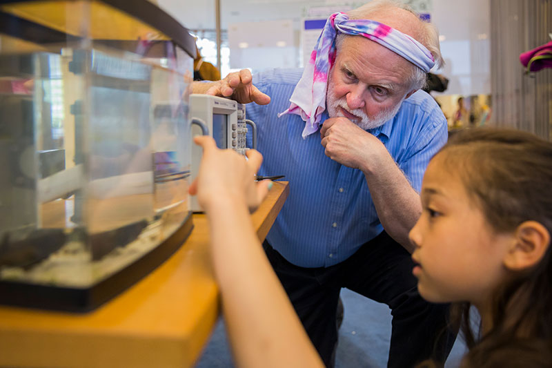 A. James Hudspeth, F.M. Kirby Professor and head of the Laboratory of Sensory Neuroscience, uses an oscilloscope to measure electrical signals emitted by a black ghost knifefish. His learning station, called “The Physics of Life,” explored the principles of magnetism, chemical reactions, and virtual optical systems.