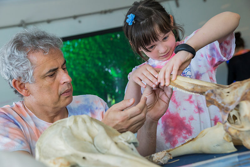 Kids explore dolphin skulls at a learning station led by Marcelo Magnasco. Magnasco’s lecture on dolphin communication drew kids in grades K through 4.