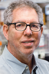 Jeffrey Friedman portrait