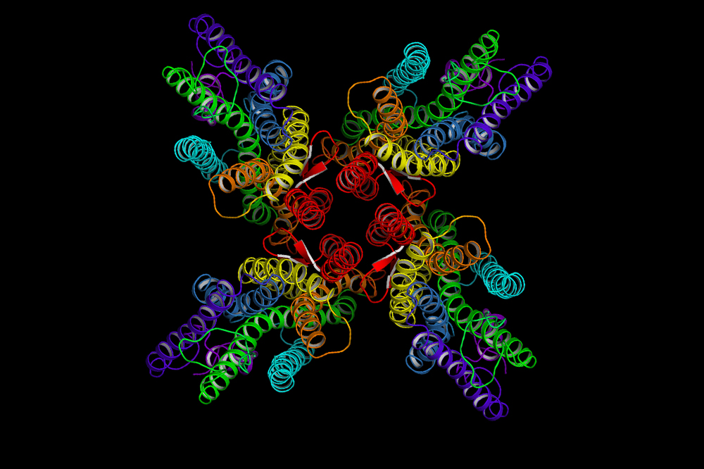 Structure of ion channel 