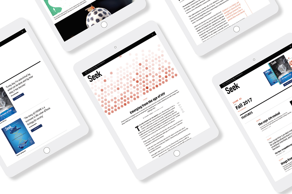 Digital Seek illustration