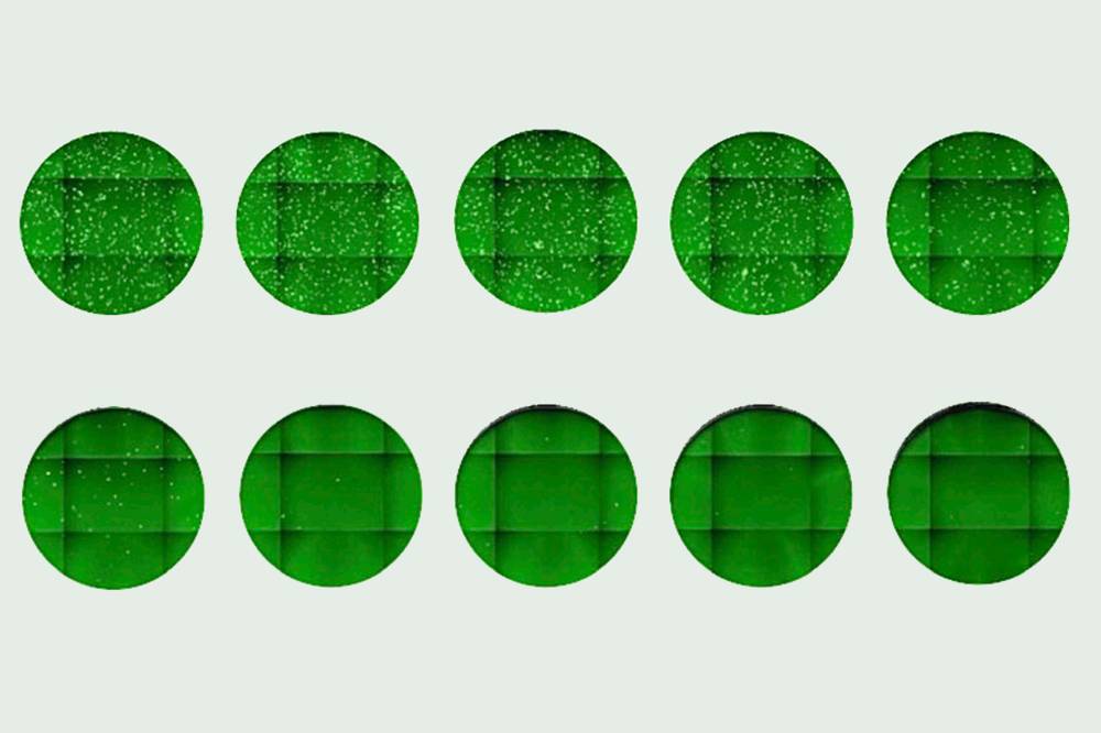 A neutralizing antibody blocks the entry of a surrogate virus