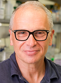 Alexander Tarakhovsky