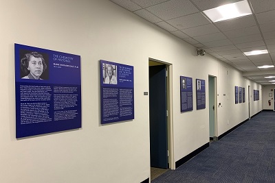 New hospital hallway exhibit