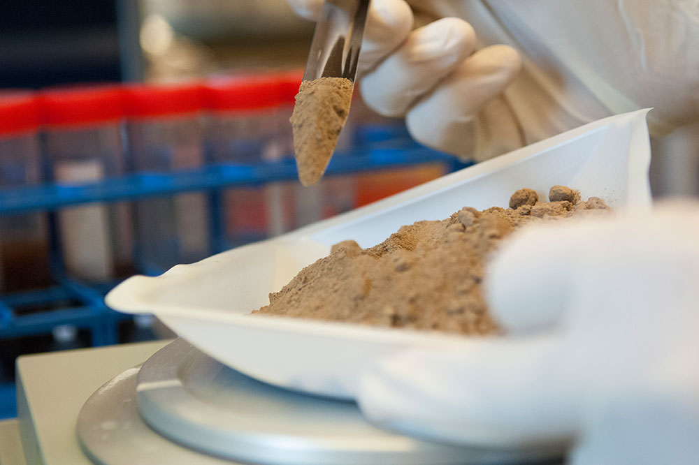 Soil extracted by Brady lab