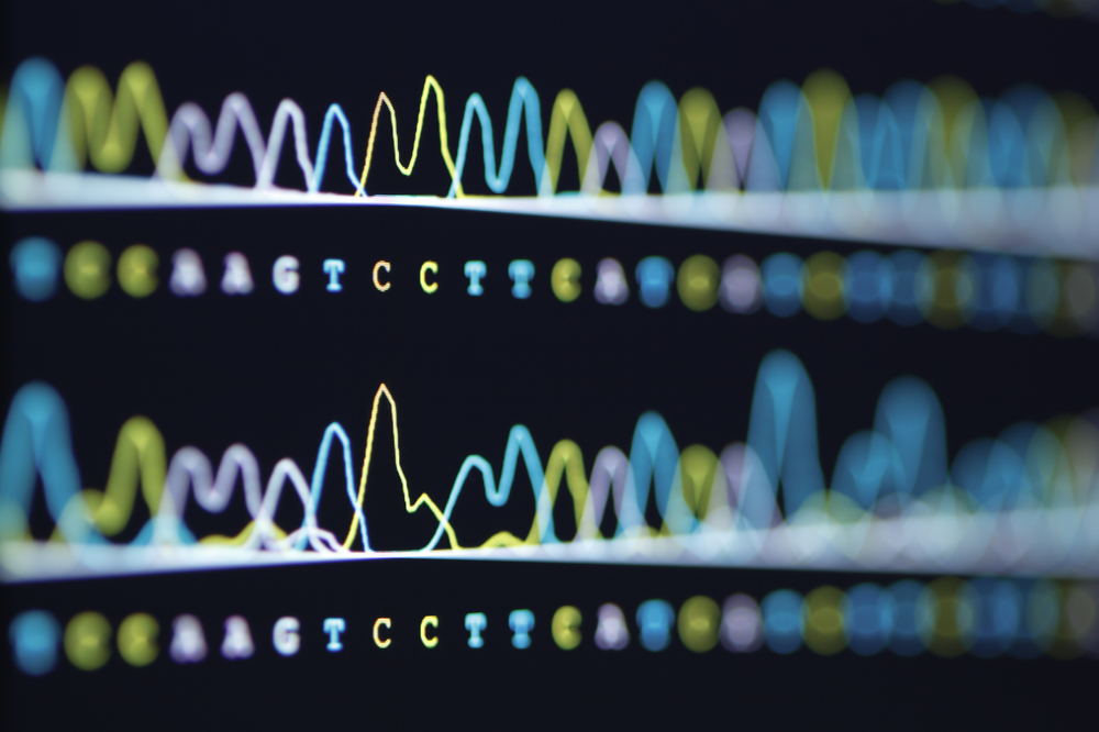 dna base pairs