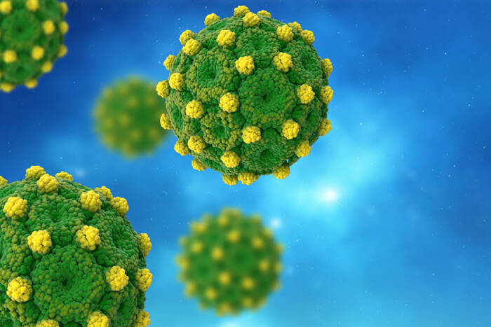 Models of hepatitis B viral particles