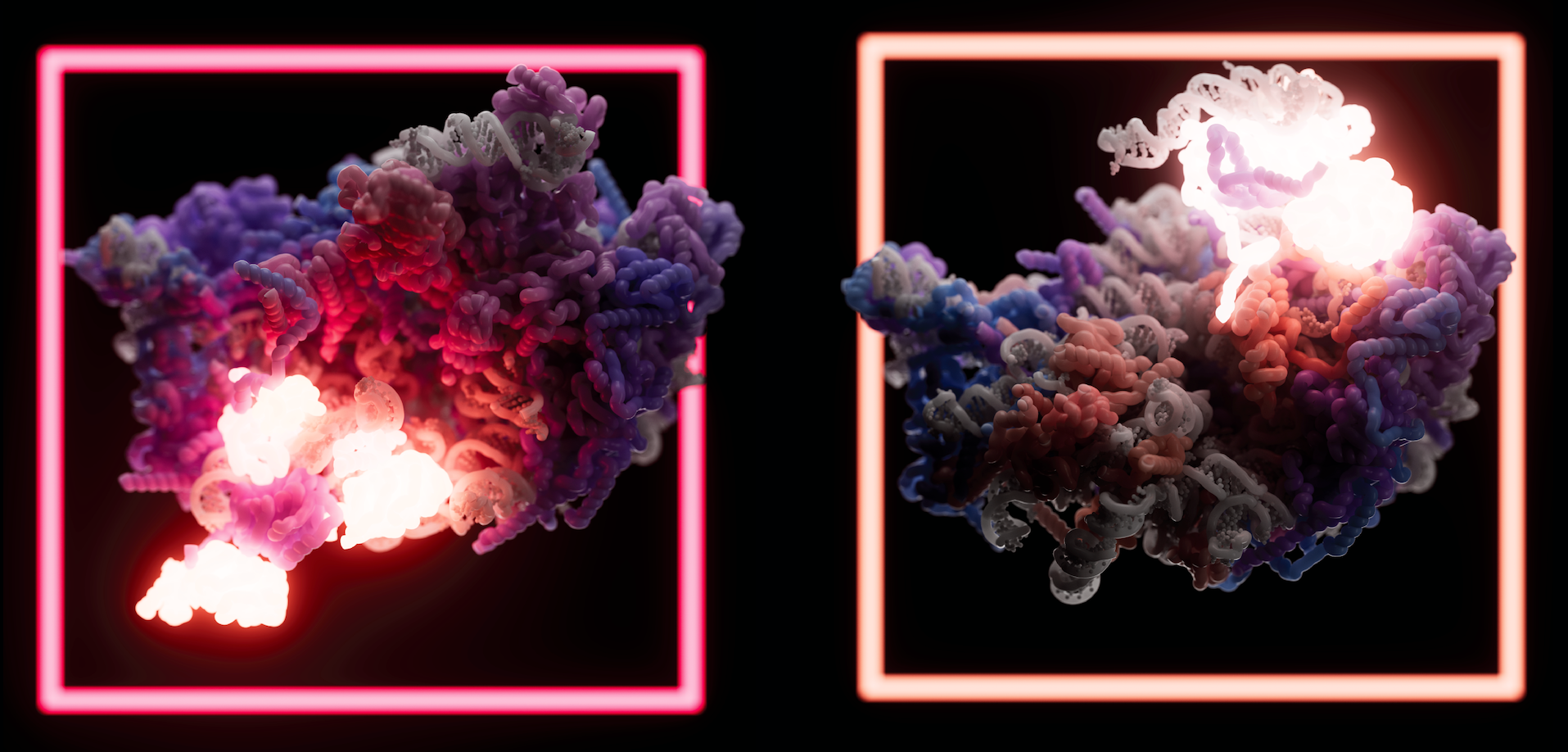 large ribosomal subunit