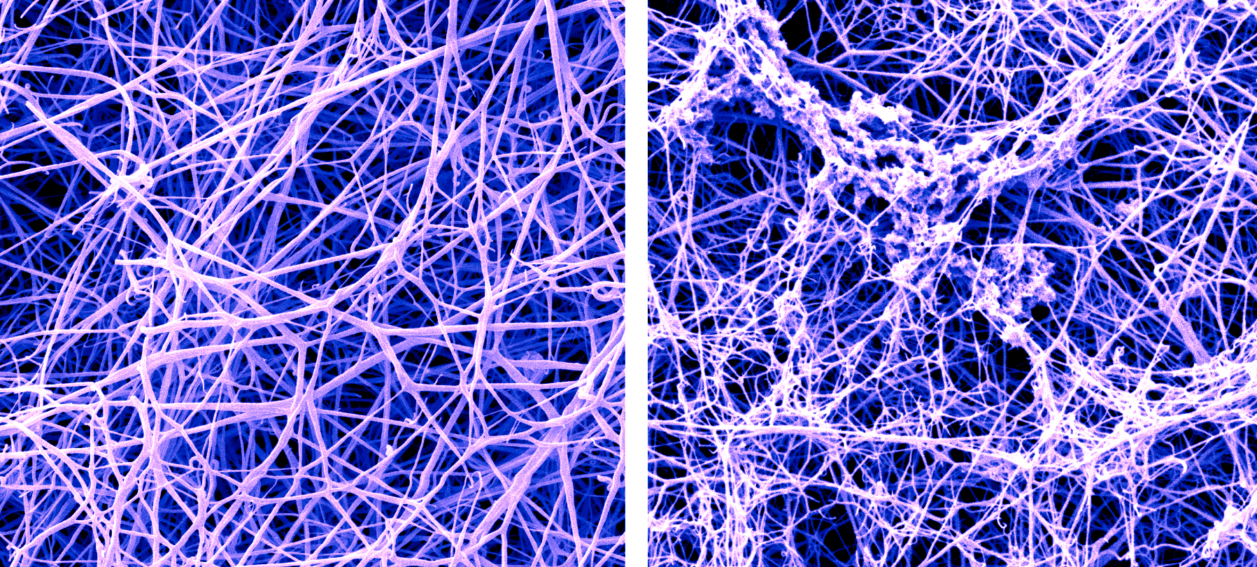 SEM before-and-after image of