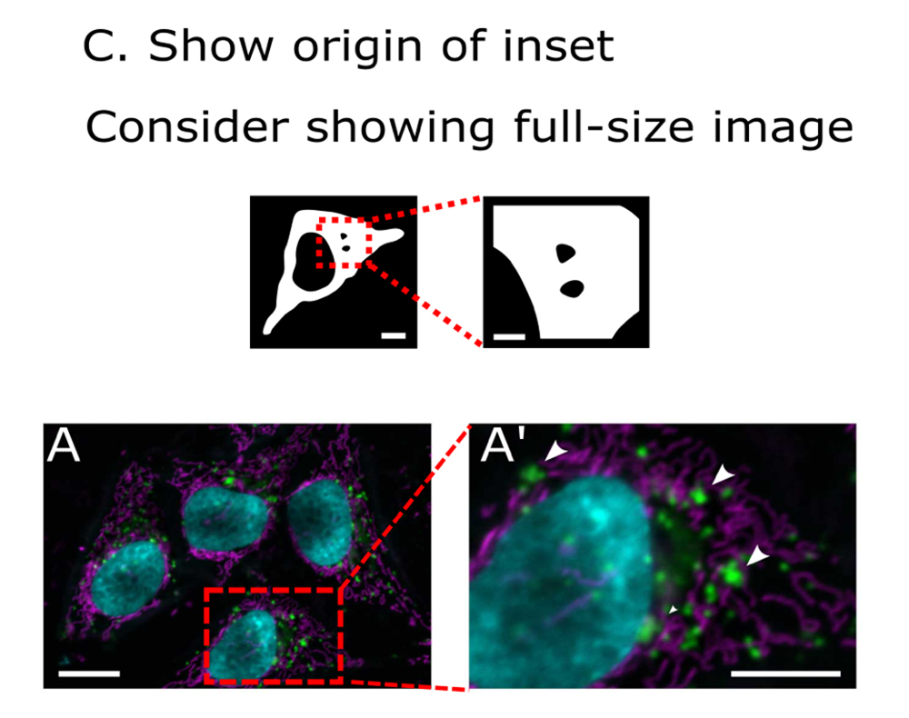 proper image use example