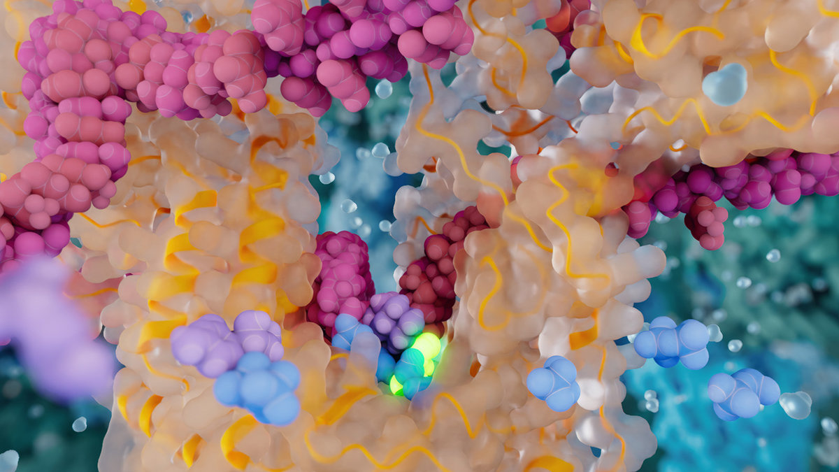 The active site of the ORF2p reverse transcriptase in purple, orange, blue, and green
