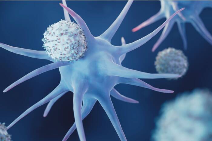 dendritic cell t cell