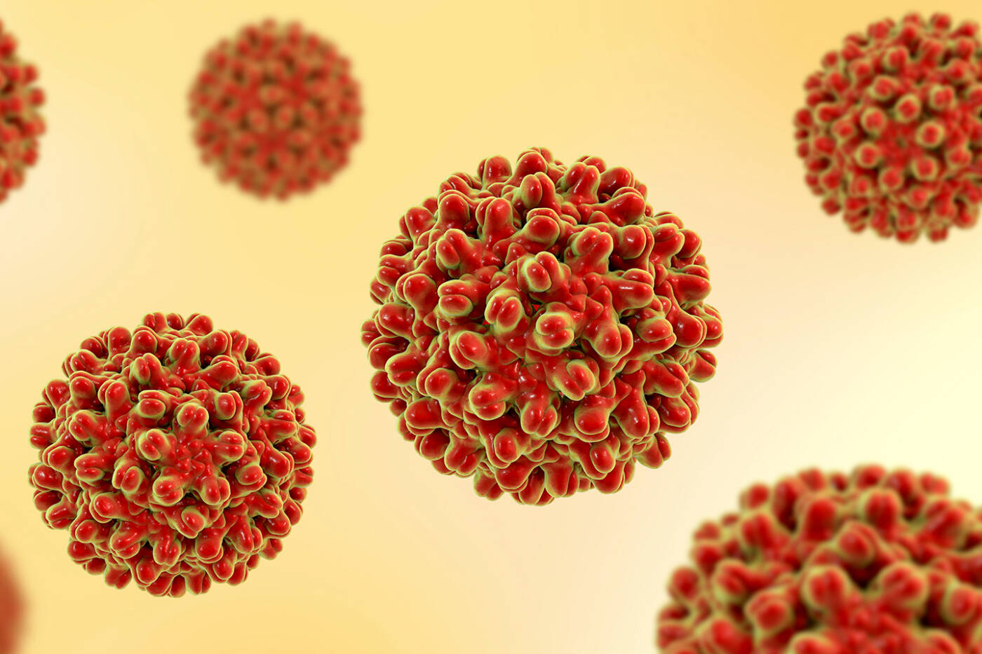 3D illustration of Hepatitis B virions