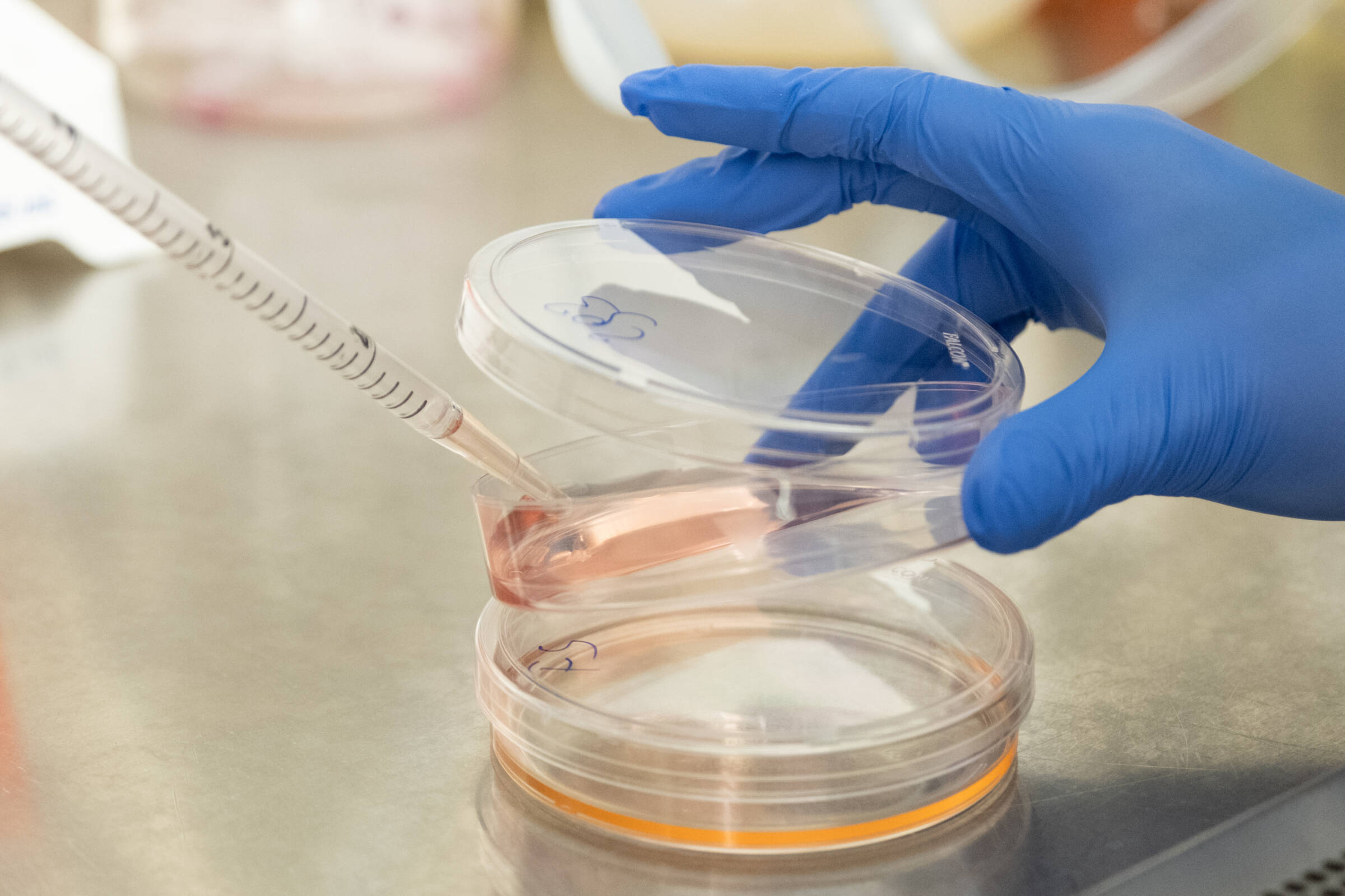 The Rockefeller University » News & Highlights