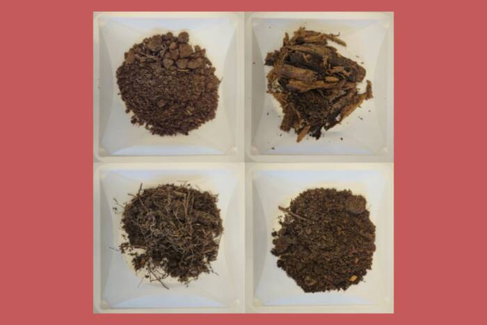 bacterial DNA extracted from soils