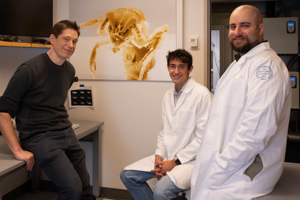 Kronauer_Hero_QA_select