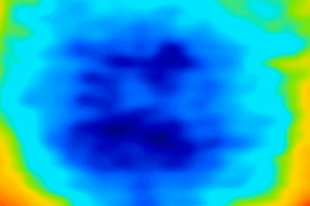The center of the nuclear pore complex with highly dynamic FG repeat filaments wiggling. (Credit: Lim lab) 