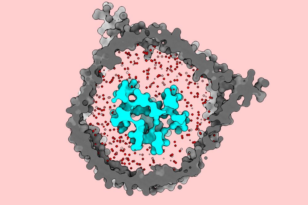 A schematic of a nanodisc where researchers replicated the native membrane environment (red dots) of a T-cell receptor (cyan) 