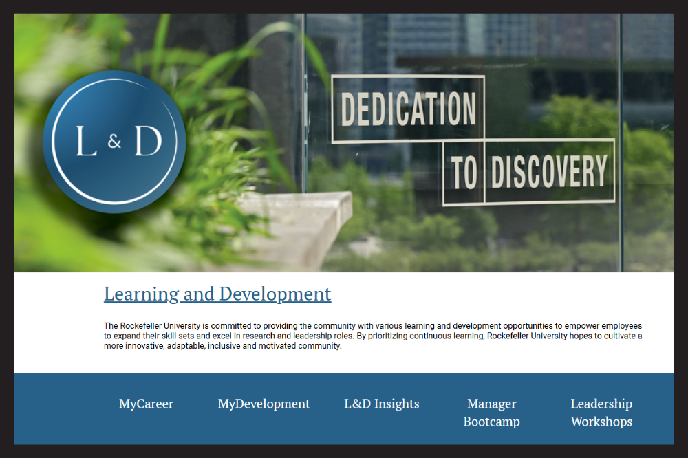 A screen shot of HR's new website for learning and development.
