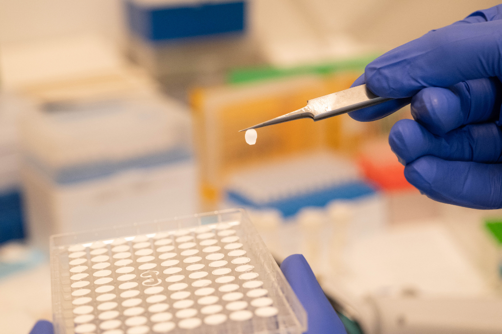 Shanshan Liu and Mark Gad developed a liposome-based transport assay to characterize SLC33A1 transport activity. (Credit: Lori Chertoff) 