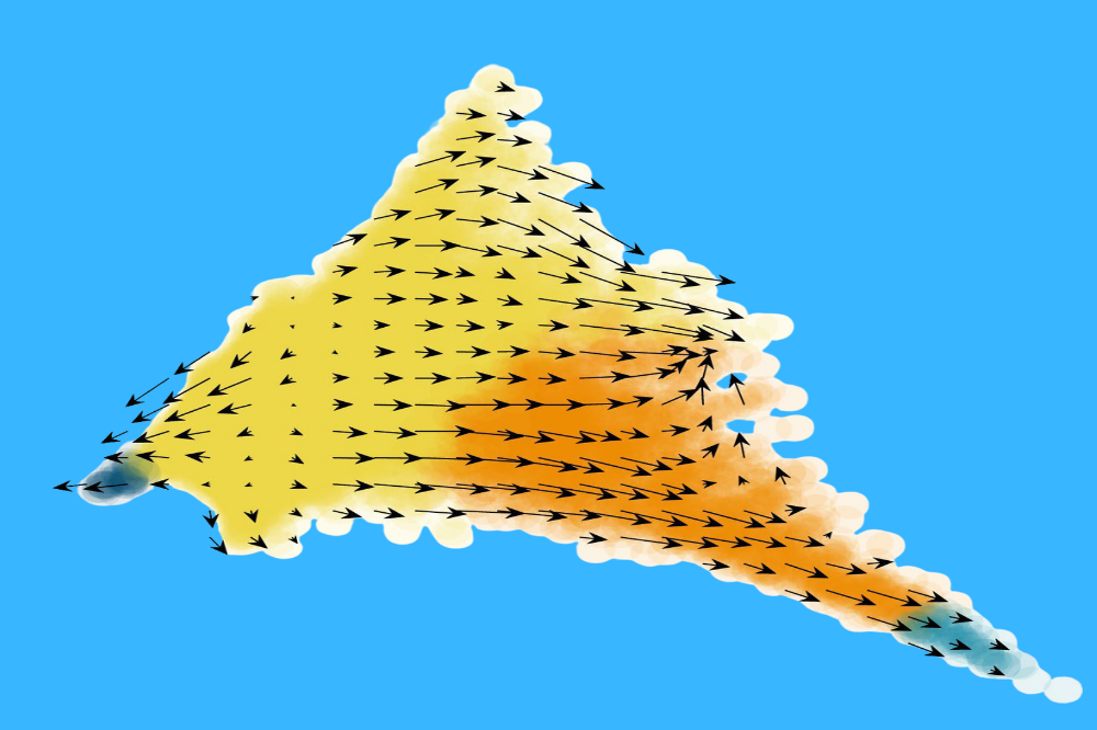 Cell state transition trajectories from genetically perturbed cells.