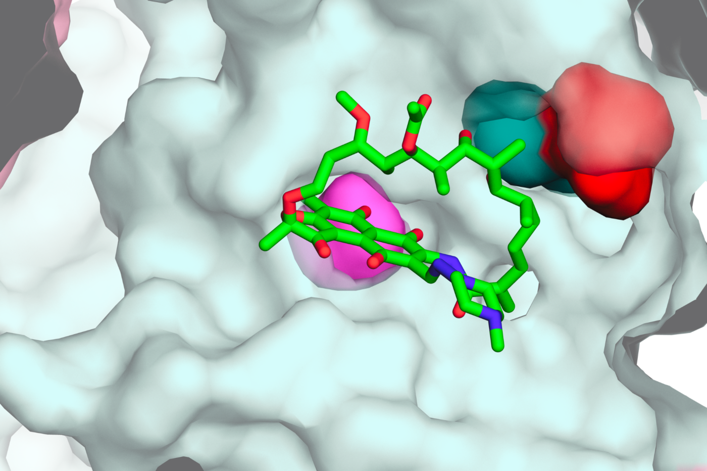 A close-up structural model of a common rifampicin-resistance mutation discovered to create vulnerabilities that could be targeted by future combination therapies. (Credit: Liz Campbell) 