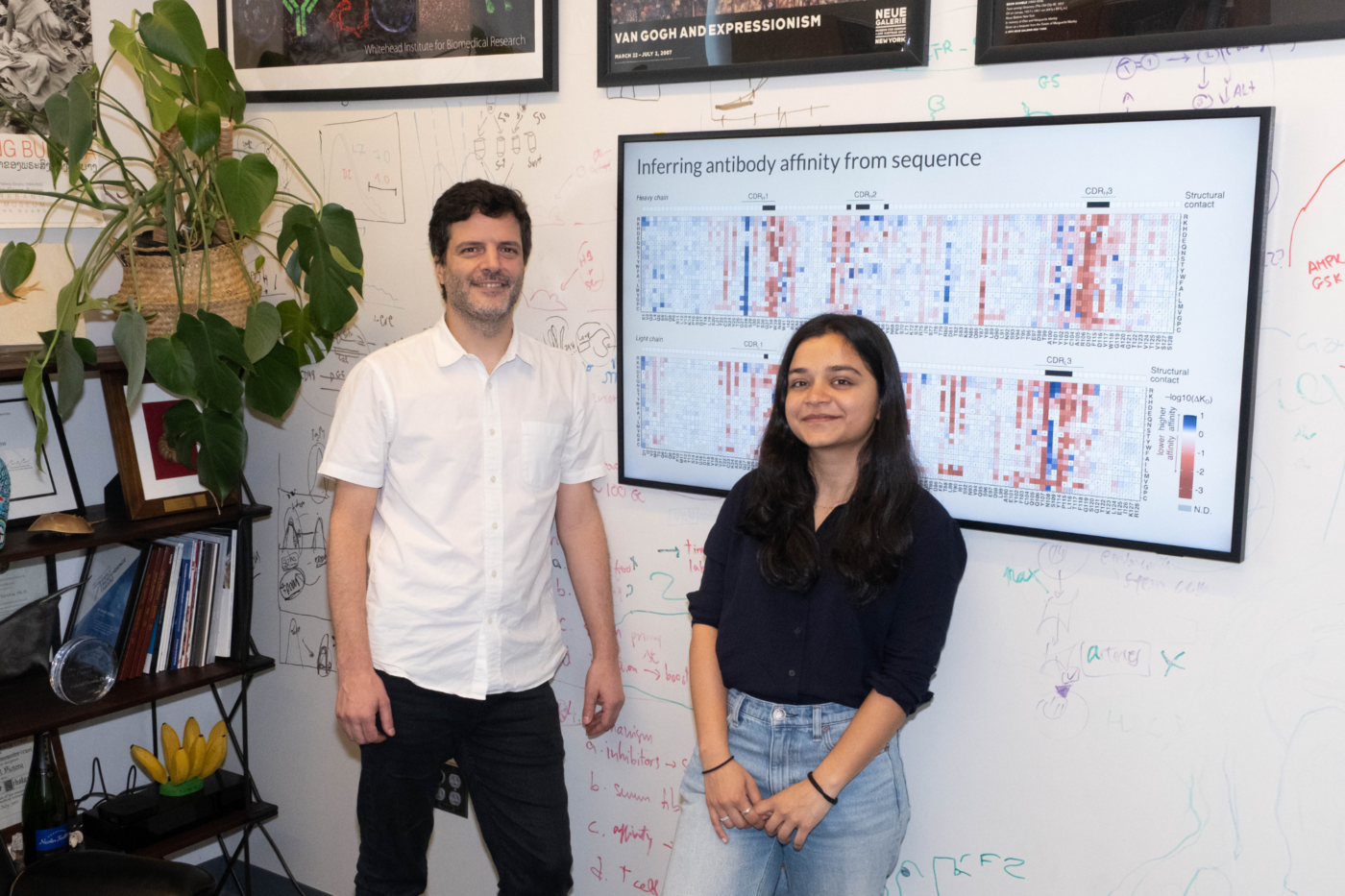 Gabriel D. Victora and Ashni Vora are turning germinal centers into a living laboratory for investigating one of biology's oldest questions: how much of evolution is shaped by chance? (Credit: Lori Chertoff)