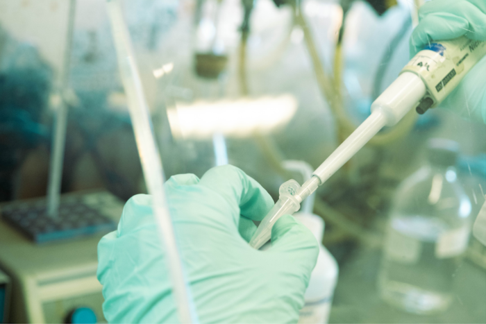 The team utilized an in vitro transcription system pioneered in the Roeder lab to identify factors involved in transcriptional activation and investigate the underlying molecular mechanisms. (Credit: Lori Chertoff)