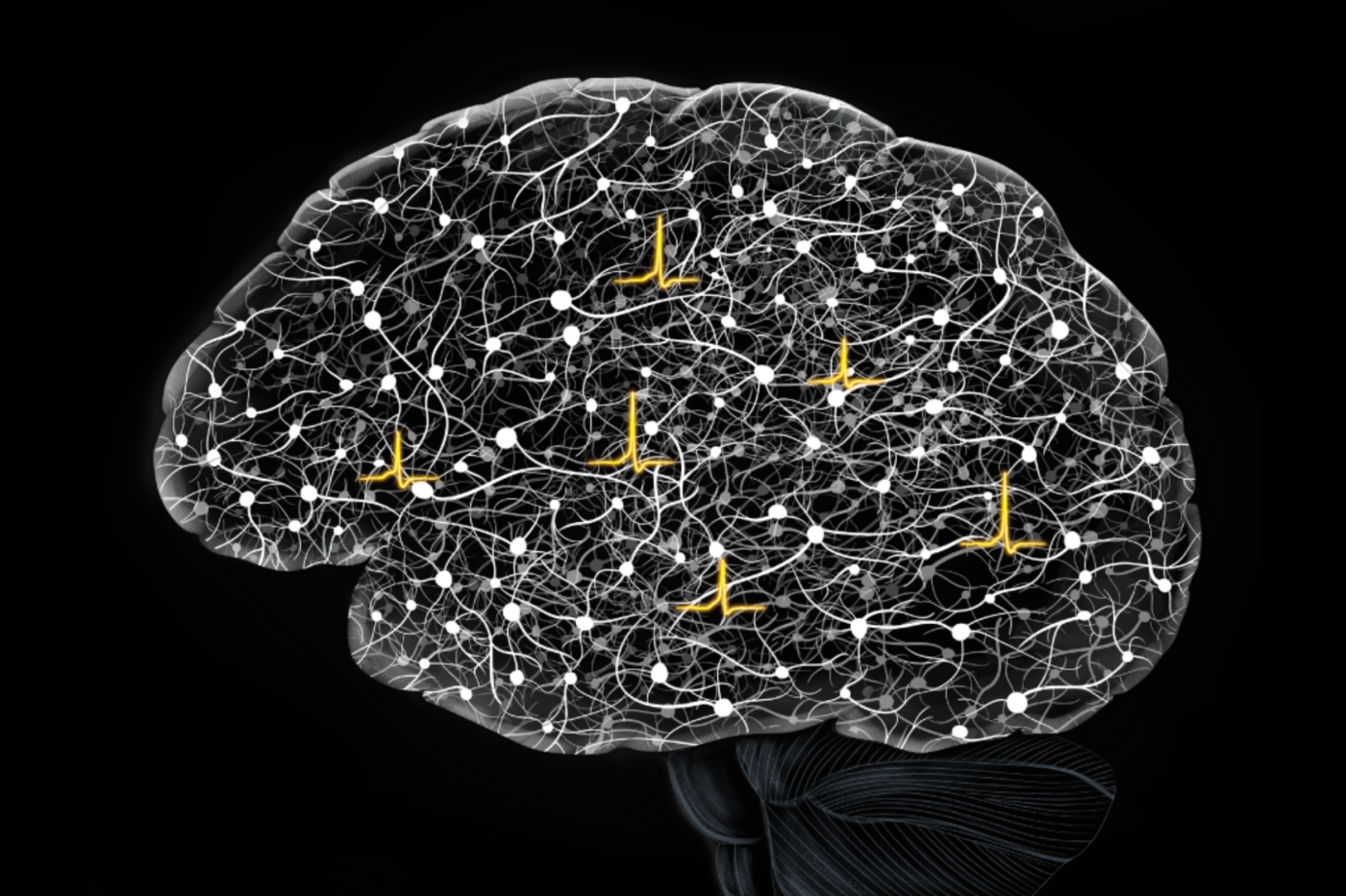 FlatMux captures electrical activity optically from nearly 200 genetically defined neurons across new depths in brain circuits, revealing how signals flow, cells connect, and computations emerge in a living mouse brain. (Image courtesy of the Vaziri lab)