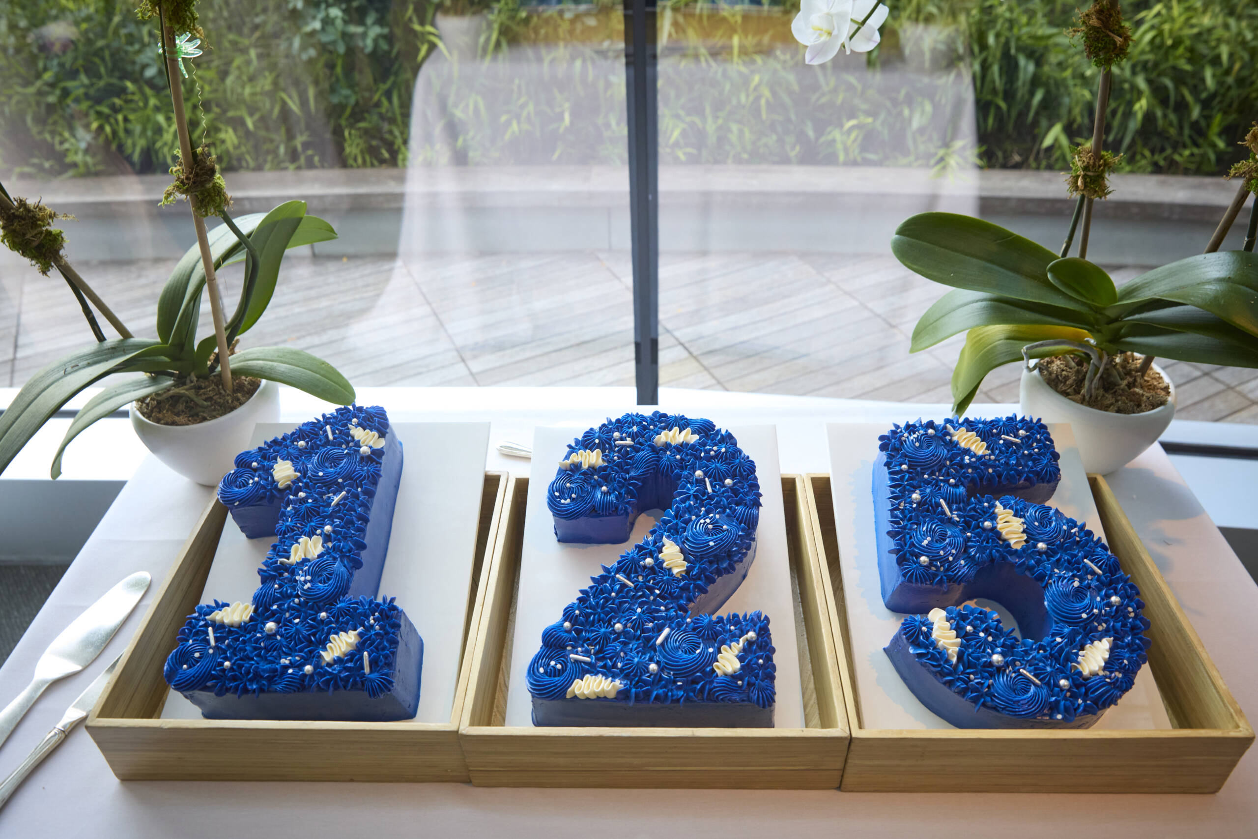 The anniversary cake