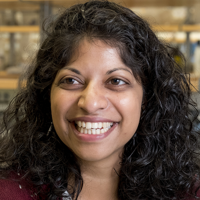 Priya Rajasethupathy, M.D., Ph.D. (Rockefeller)