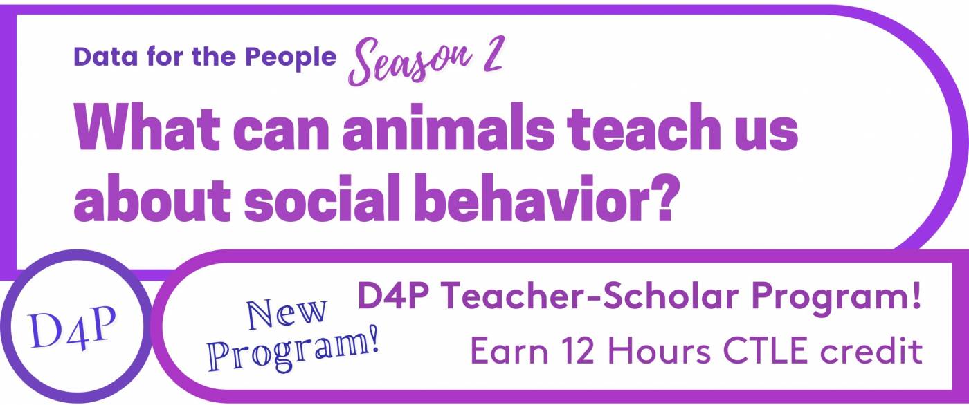 Image announcing the new teacher scholars program that is associated with season 2 of D4P