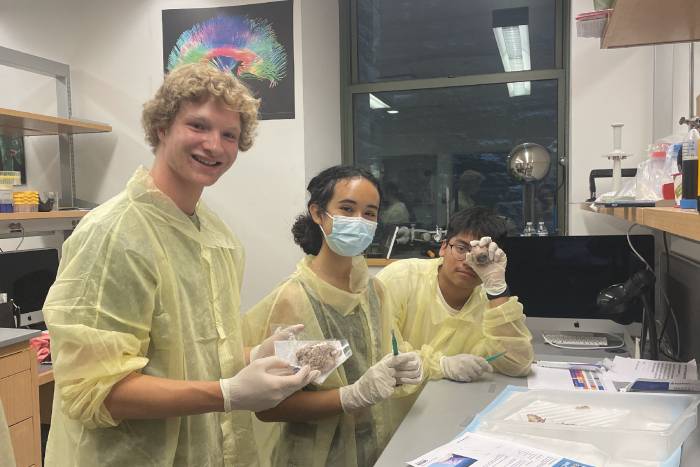 Three students in PPE dissect a brain.