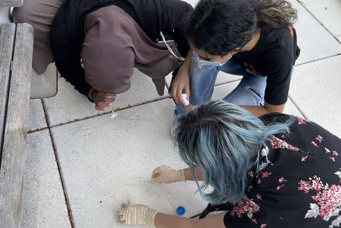 three women scoop an ant into a test tube