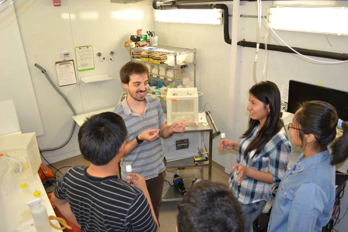 a man in front of a cage of mosquitoes talks with four students