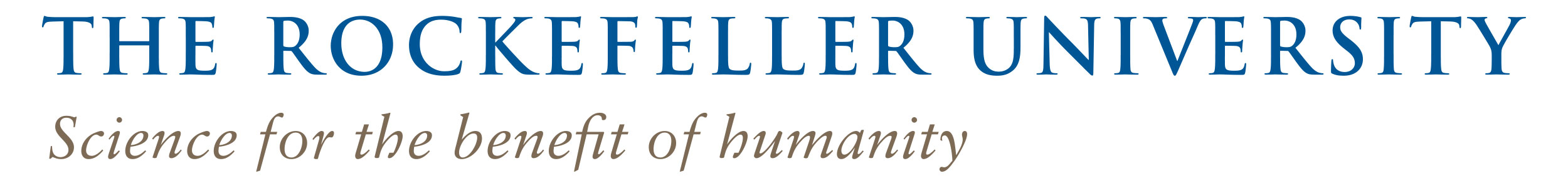 Blue typeface logo with grey tagline