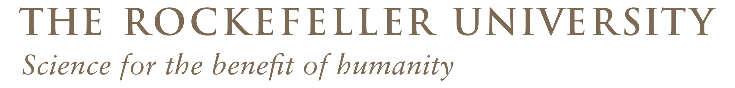 Warm grey typeface logo with tagline